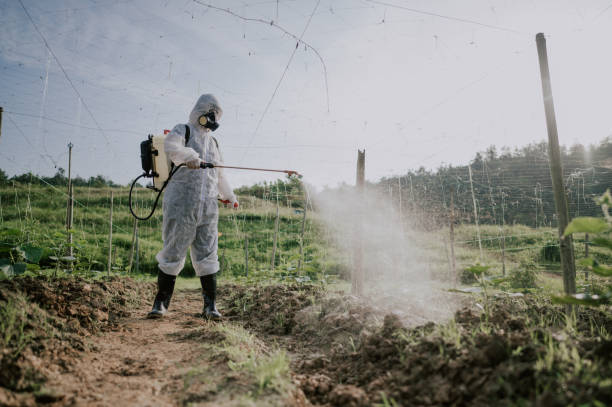 Best Local Pest Control Services  in Otsego, MN