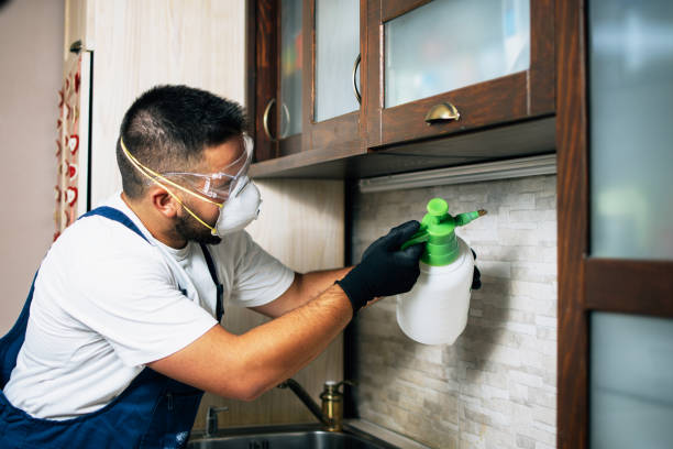 Best Affordable Pest Control Services  in Otsego, MN