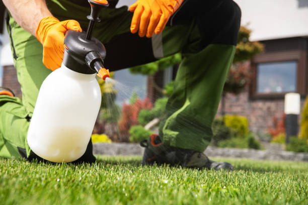 Wildlife Control Services in Otsego, MN