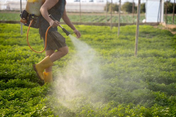 Best Best Pest Control Companies  in Otsego, MN