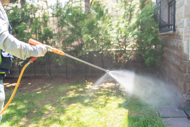 Best Termite Control Services  in Otsego, MN