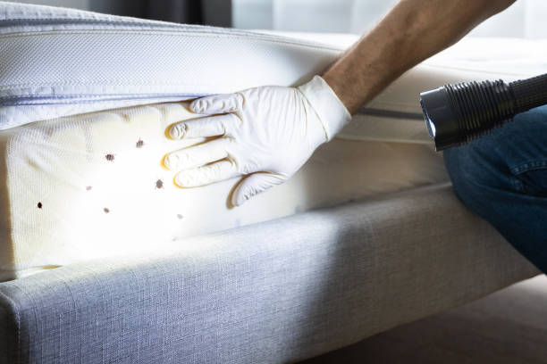 Best Pest Prevention Services  in Otsego, MN