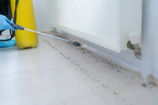 Best Bed Bug Extermination  in Otsego, MN