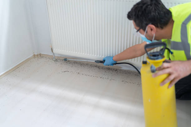 Pest Prevention Services in Otsego, MN